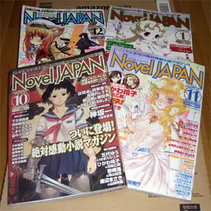 Novel Japan