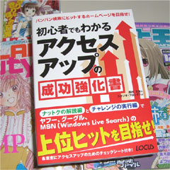 初心者でもわかるアクセスアップの成功強化書