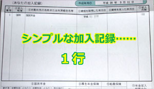 シンプルな国民年金加入記録