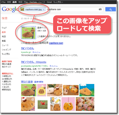 カピバラさんの画像で検索（＠Google画像検索）
