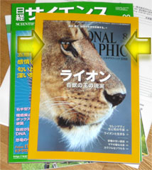 NATIONAL GEOGRAPHIC 2013年8月号