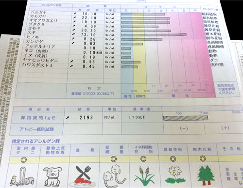 アレルゲン検査結果シート