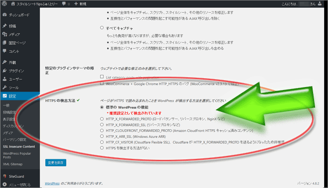 WordPressプラグイン「SSL Insecure Content Fixer」でHTTPS検出方法を設定する項目