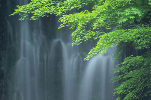 サンプル写真：滝と緑