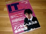 IT Professional