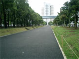 有明駅方面へ向かう通路